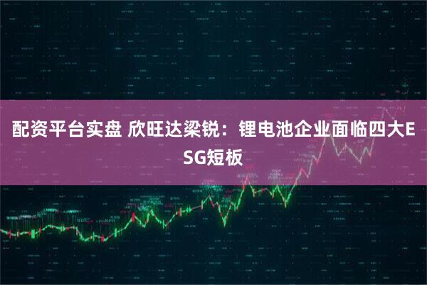 配资平台实盘 欣旺达梁锐：锂电池企业面临四大ESG短板